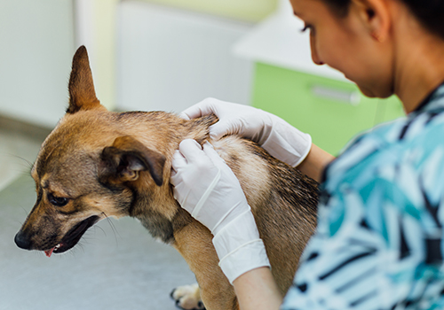 Indepth and up to date training